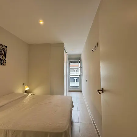 & * 大加那利岛拉斯帕尔马斯